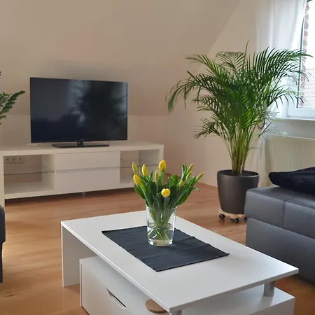 Apartment Bort Lodging